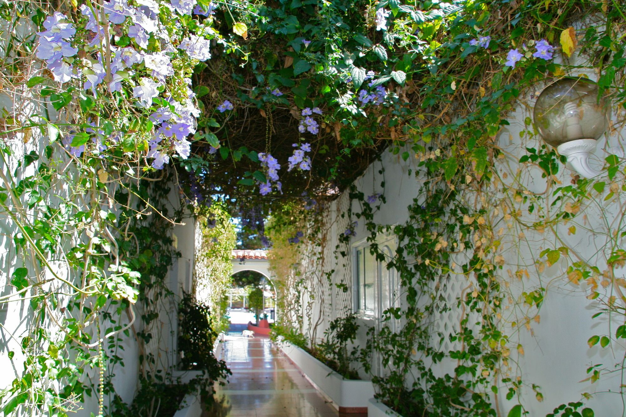 Parque Paraiso I Playa del Inglés Exterior foto